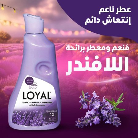 نهدي
