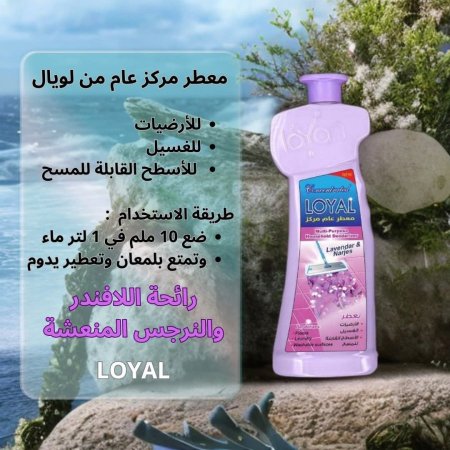 نهدي