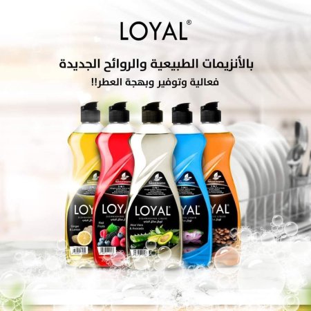 سائل جلي لويال